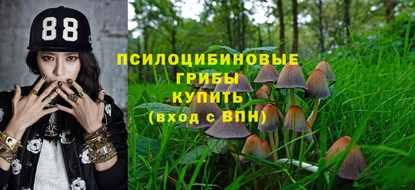 apvp Мегион