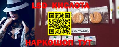 шишки Апшеронск