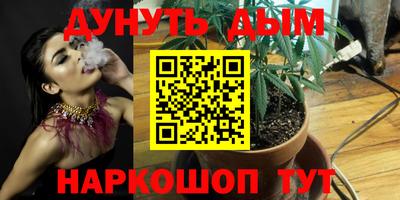 шишки Апшеронск