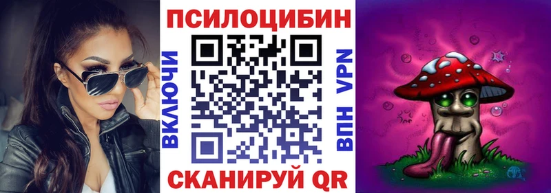 кракен зеркало Астрахань Псилоцибиновые грибы Cubensis