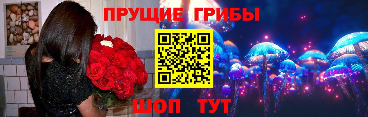 Астрахань  Псилоцибиновые грибы Psilocybine cubensis  Вход с VPN 