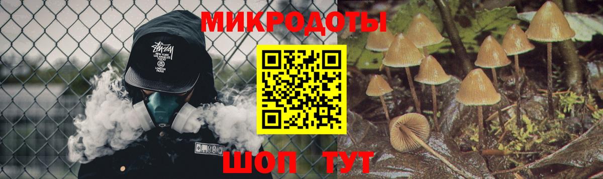 Галлюциногенные грибы ЛСД  закладка  Галлюциногенные грибы GOLDEN TEACHER  Астрахань 